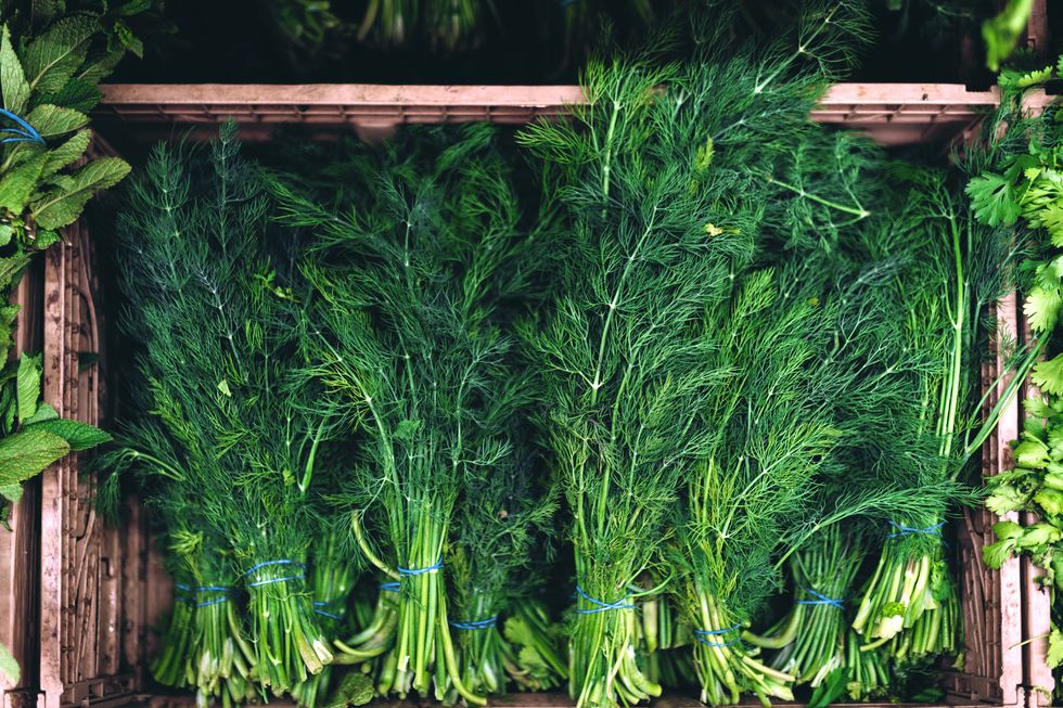 bunches of fresh dill in a wooden box.