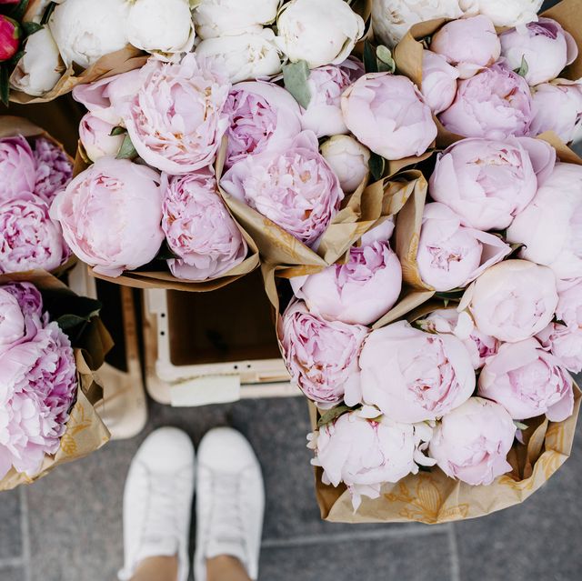 Bunches of peonies at flower market