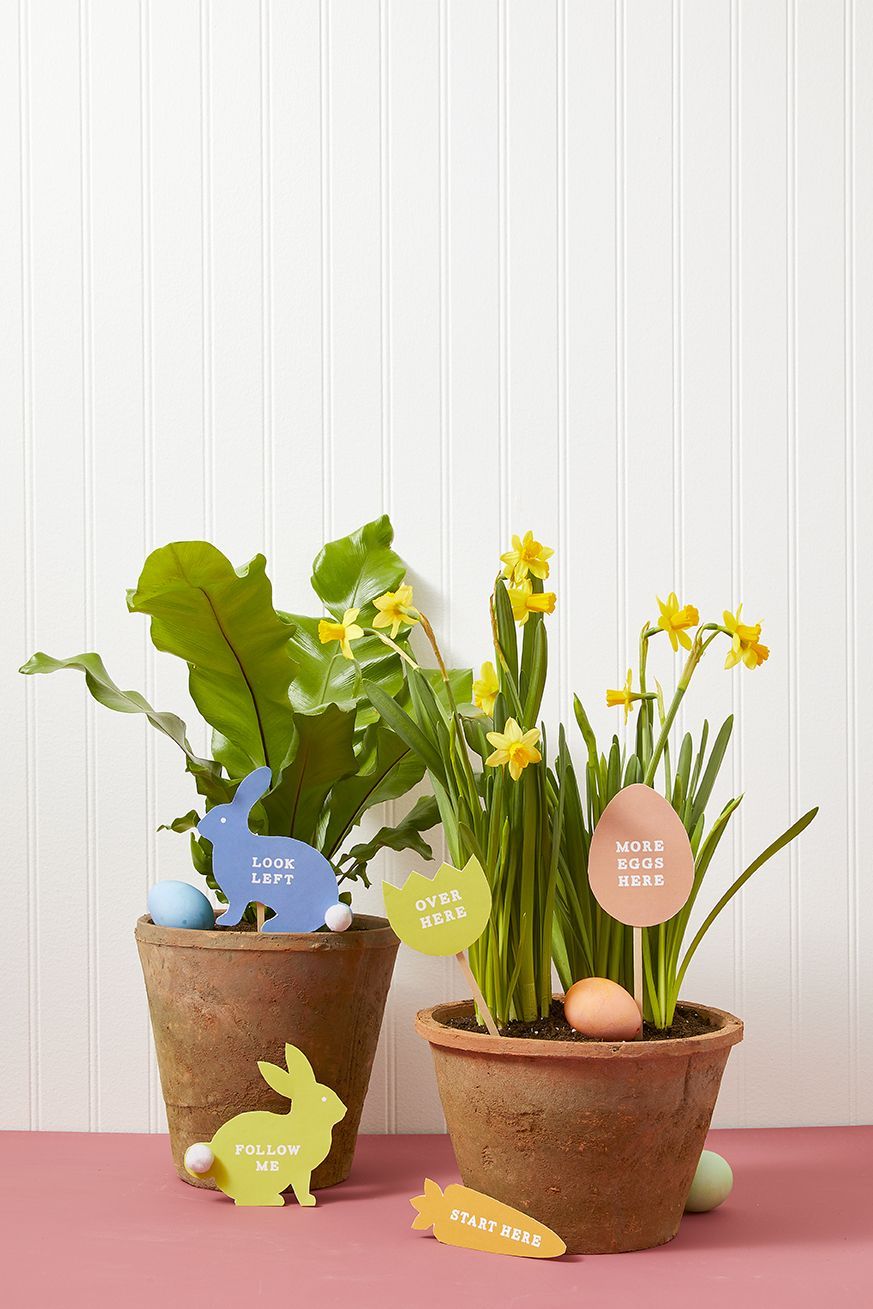 egg, bunny, and carrot shaped easter egg hunt markers in potted plants that say look left, over here, follow me, etc