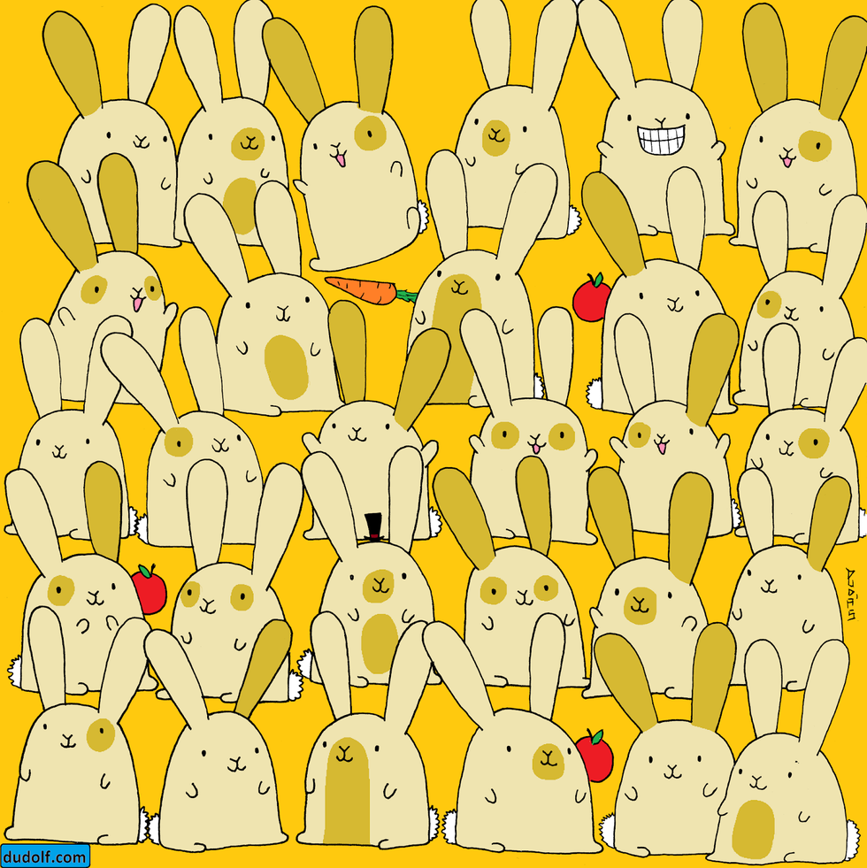 viral brain teasers - bunny