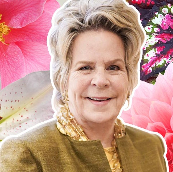 bunny williams flowers dahlia camellia lilies