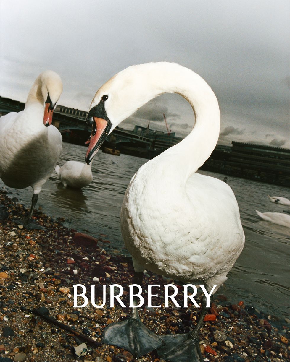 Burberry Changes Its Logo Under Riccardo Tisci's Creative