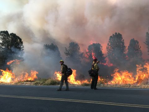 wildland firefighting wildfires california hotshots