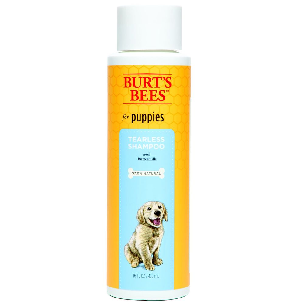 Product, Shampoo, Canidae, Dog breed, Pet vitamins & supplements, Pet supply, Puppy, Dog supply, 