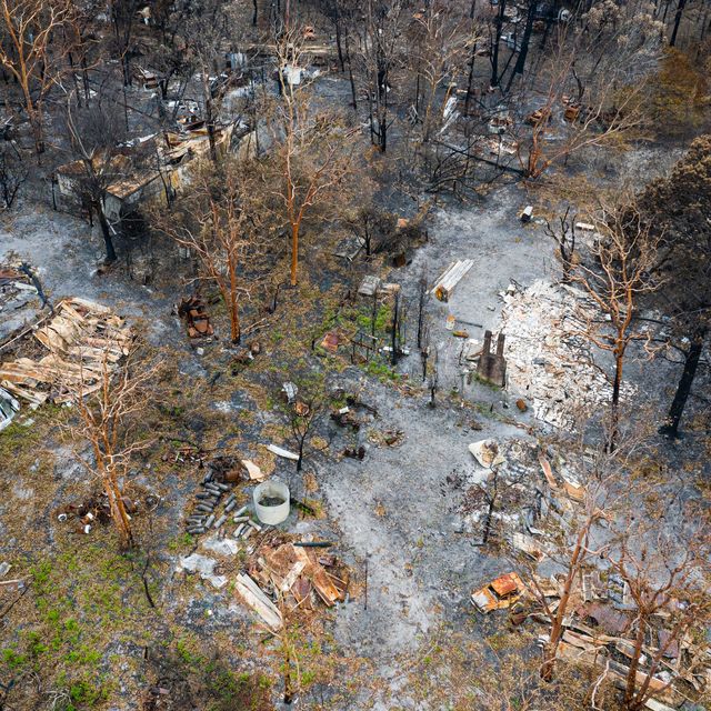 bush fire destruction with home