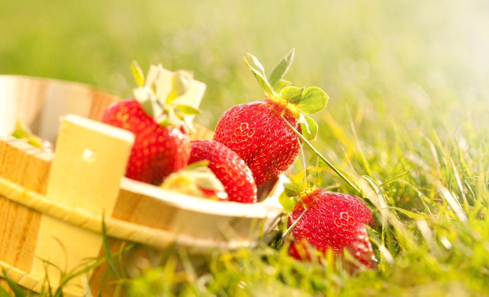 bushel of strawberries