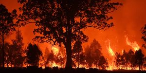 Firefighters Battle Bushfires On The Mid North Coast of NSW