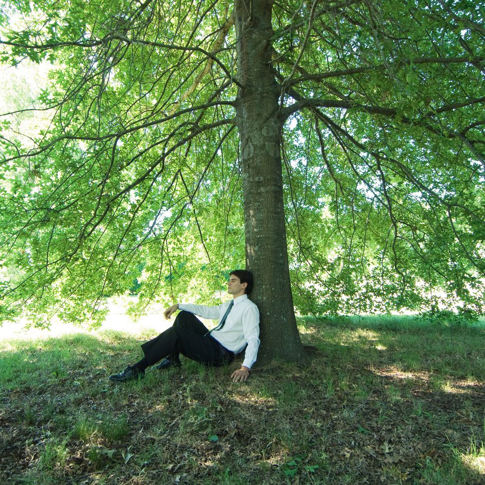 businessman sitting under tree