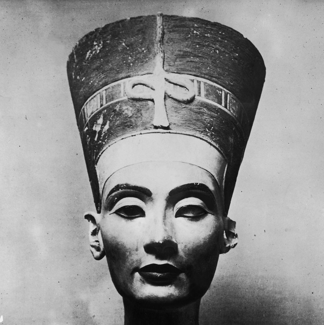 bust of queen nefertiti (b&w)