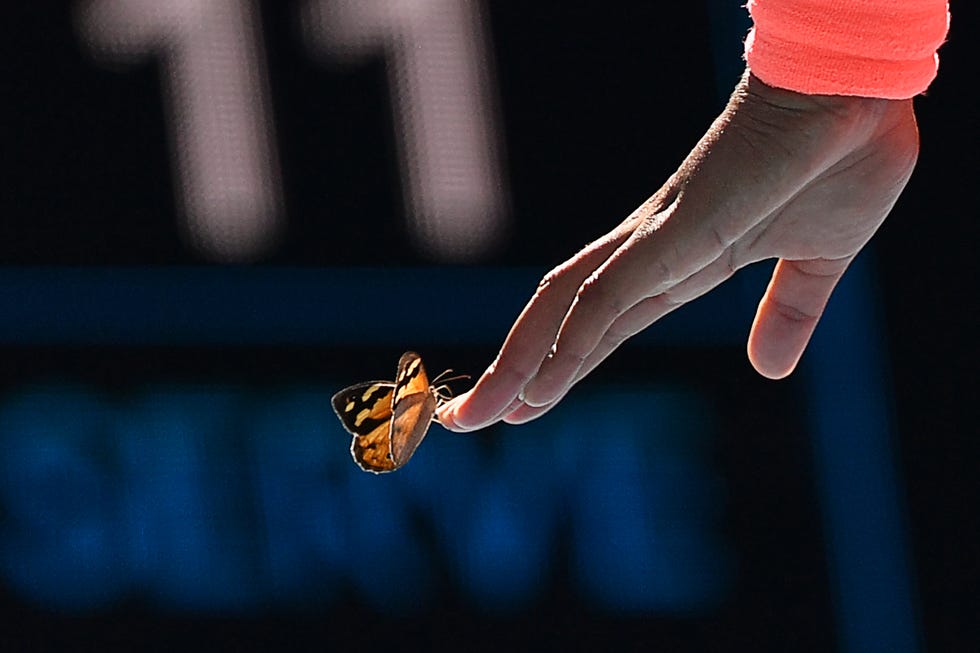 Naomi Osaka wears shoes inspired by last year's butterfly run-in