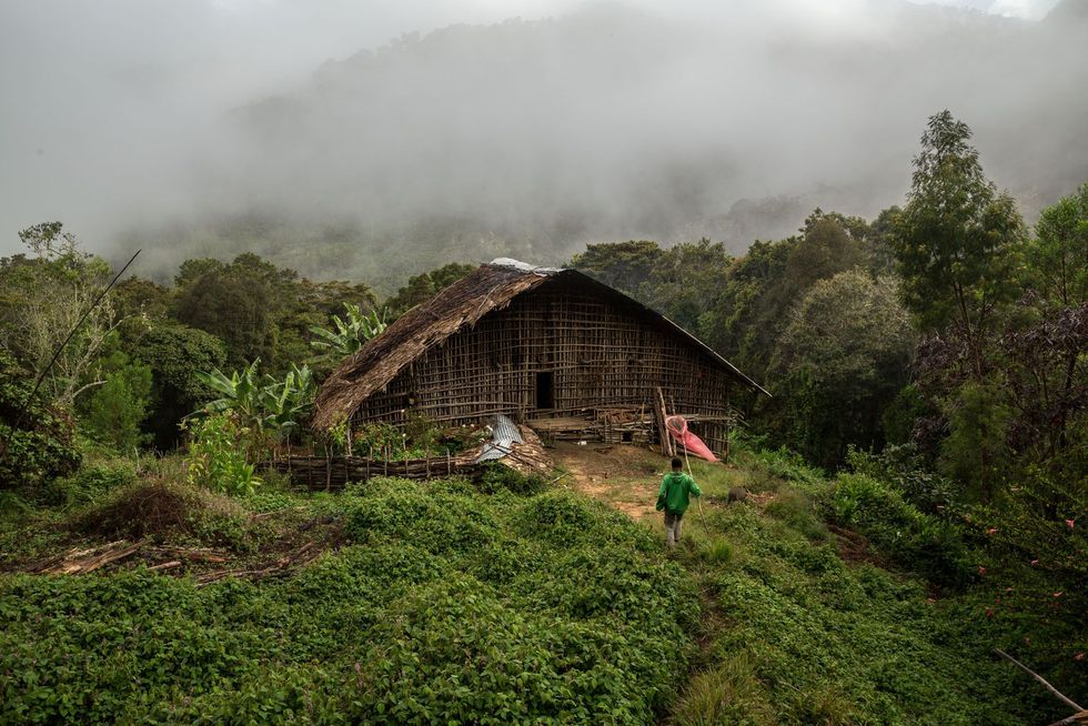 Vlindervanger Simeyon keert terug naar zijn huis in Tekai Conti in West Papua Het gesoleerde dorpje bestaat uit slechts een paar huizen Omringd door vlinderplanten is dit een ideale plek om de handel in zeldzame vlinders te voeden
