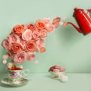 butler pouring a stream of roses into a tea cup