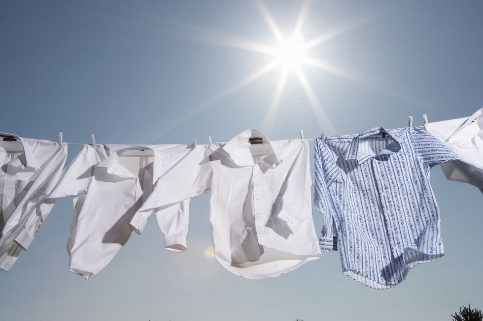 button down shirts hanging from clothesline outdoors, low angle view