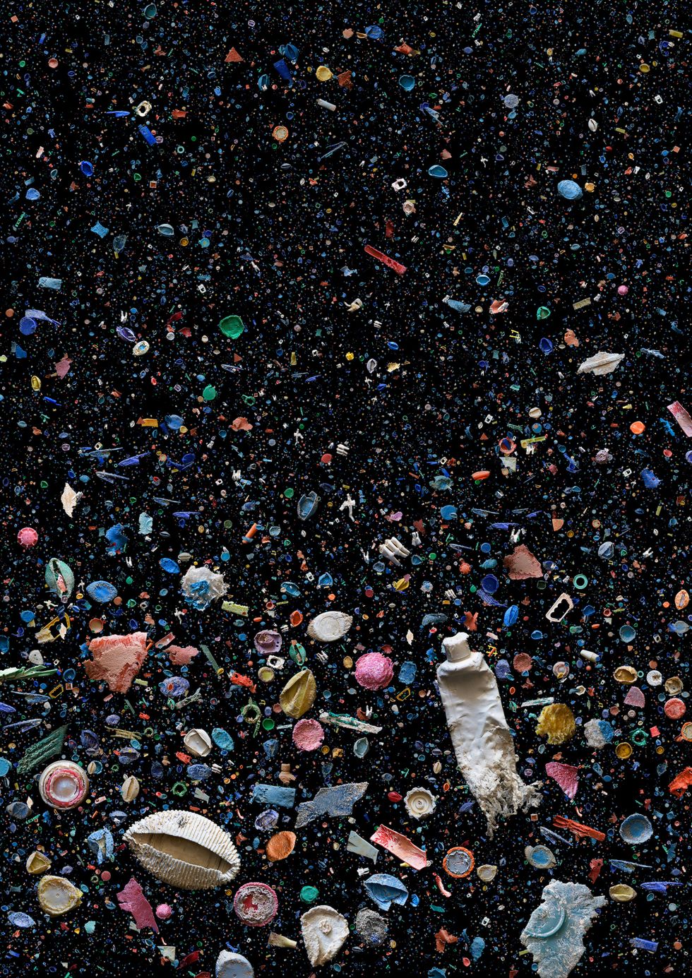 Mandy Barker, rifiuti plastica, inquinamento mare, arte, ecologia