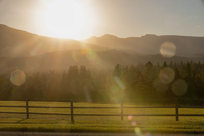 Sunrise over mountains and a forest with a timber frame in the foreground