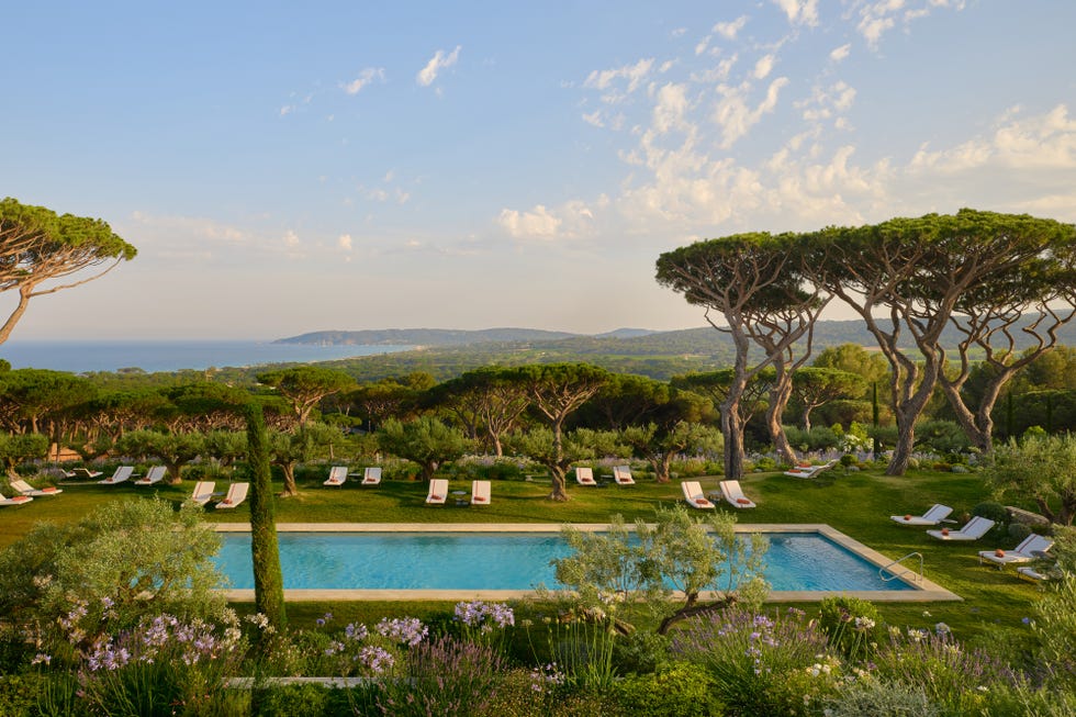 Scenic outdoor pool area surrounded by lush greenery and ocean view.