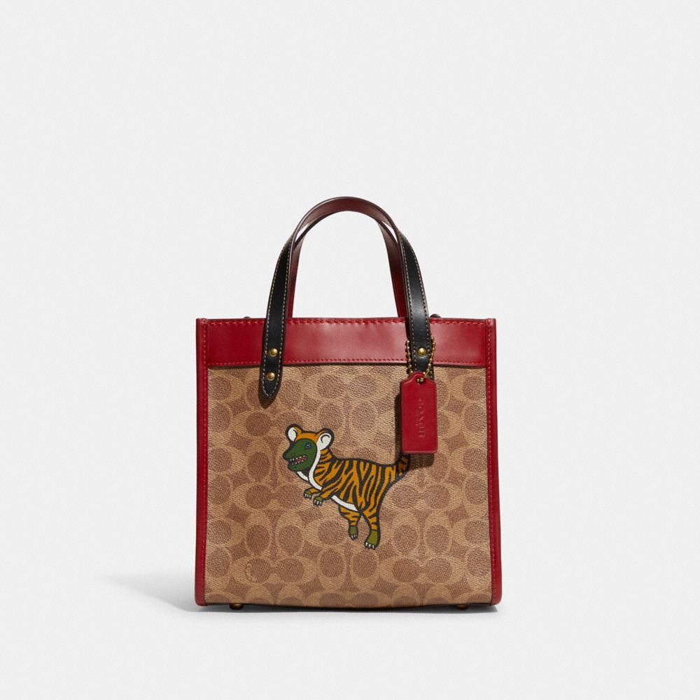 2022虎年限定商品盤點!Gucci、Coach、BV虎紋衣服球鞋、皮夾錢包 2022虎年限定商品盤點!Gucci、Coach、BV虎紋衣服球鞋、皮夾錢包