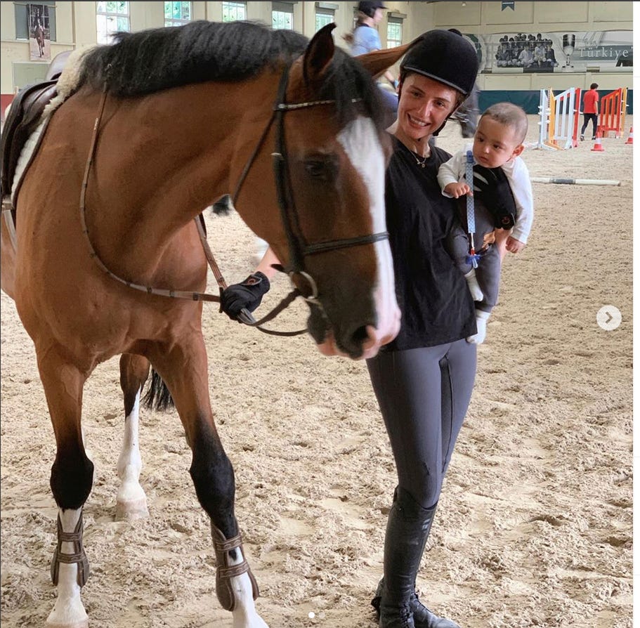 Horse, Bridle, Mammal, Halter, Rein, Horse supplies, Animal sports, Horse tack, Equestrian, Equestrianism, 