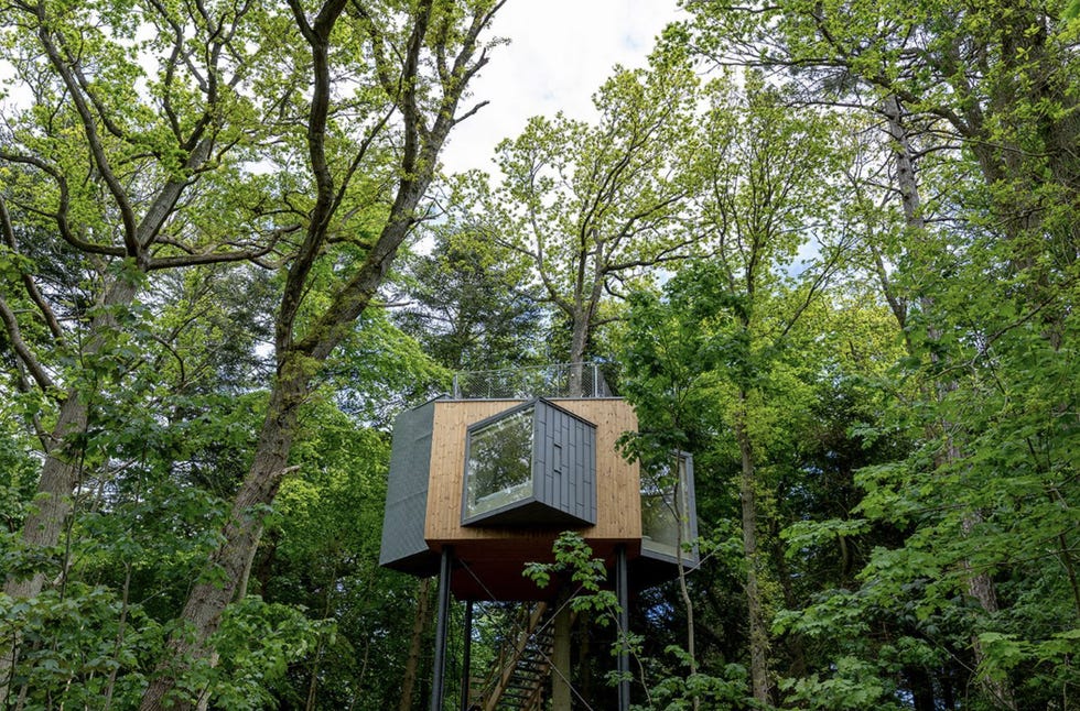 Las cabañas de madera, sostenibles y de diseño más bonitas del mundo las cabanas de madera, sostenibles y de diseno mas bonitas del mundo