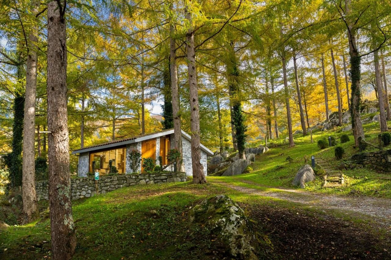 Woodnest, una cabaña de madera en el bosque