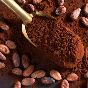 cacao beans and cacao powder, cacao vs cocoa