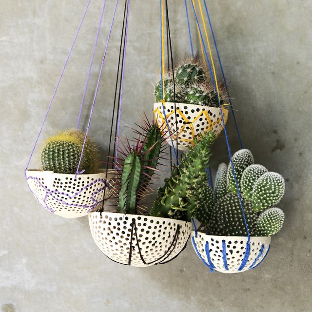 a group of plants in baskets