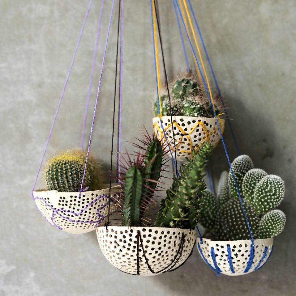 cactus in hanging plant pots
