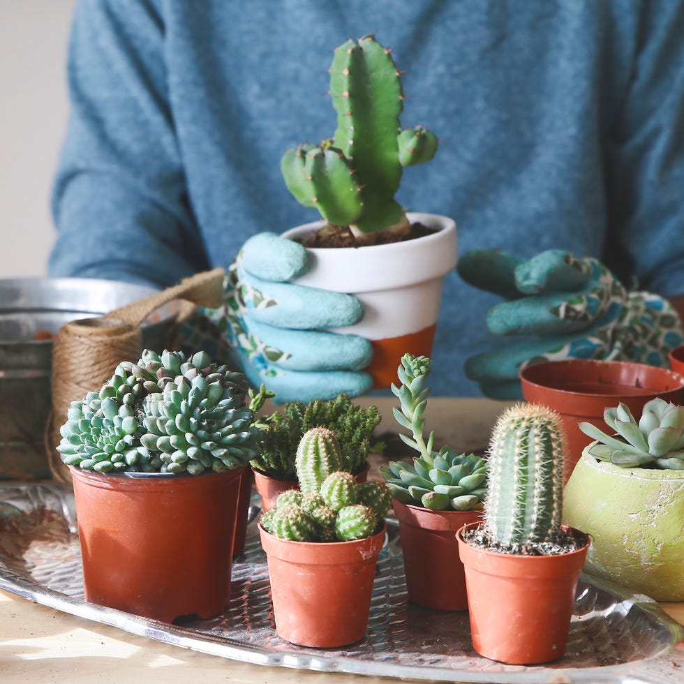 a person standing next to a group of potted plants