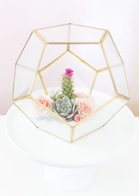 cactus terrarium diy wedding centerpieces