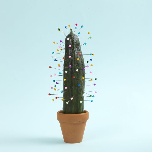 cactus voodoo