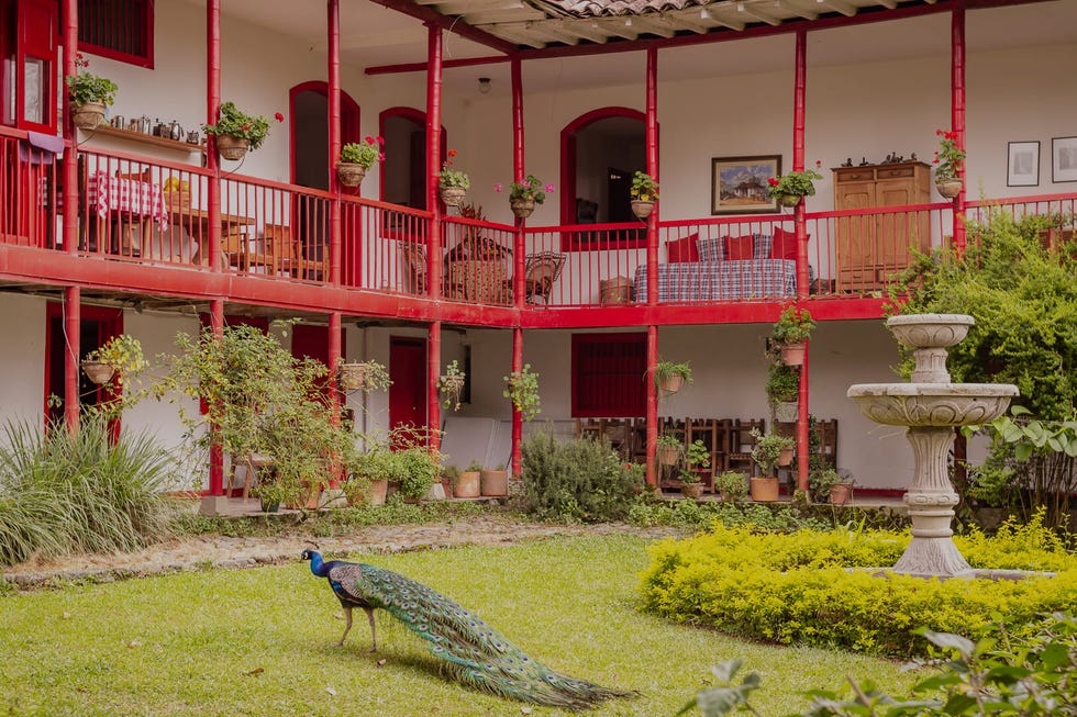 la hacienda venecia de colombia es el lugar de rodaje de la serie cafe con aroma de mujer