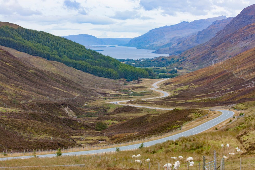 cairngorms national park,