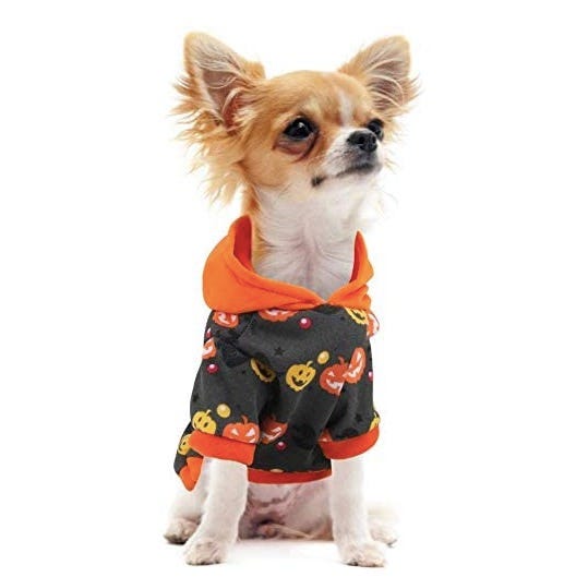 disfraces halloween perros