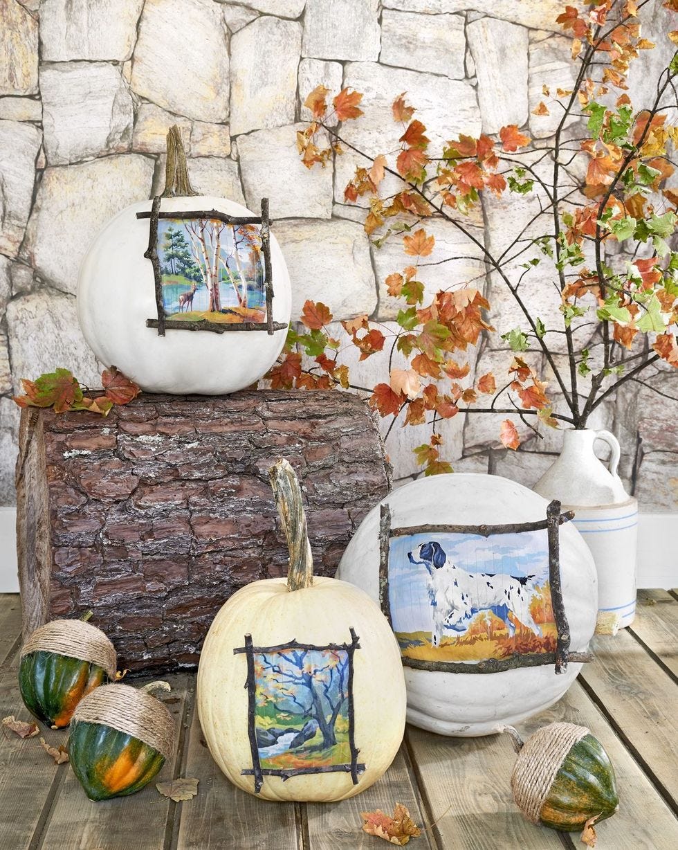 calabazas que parecen obras de arte