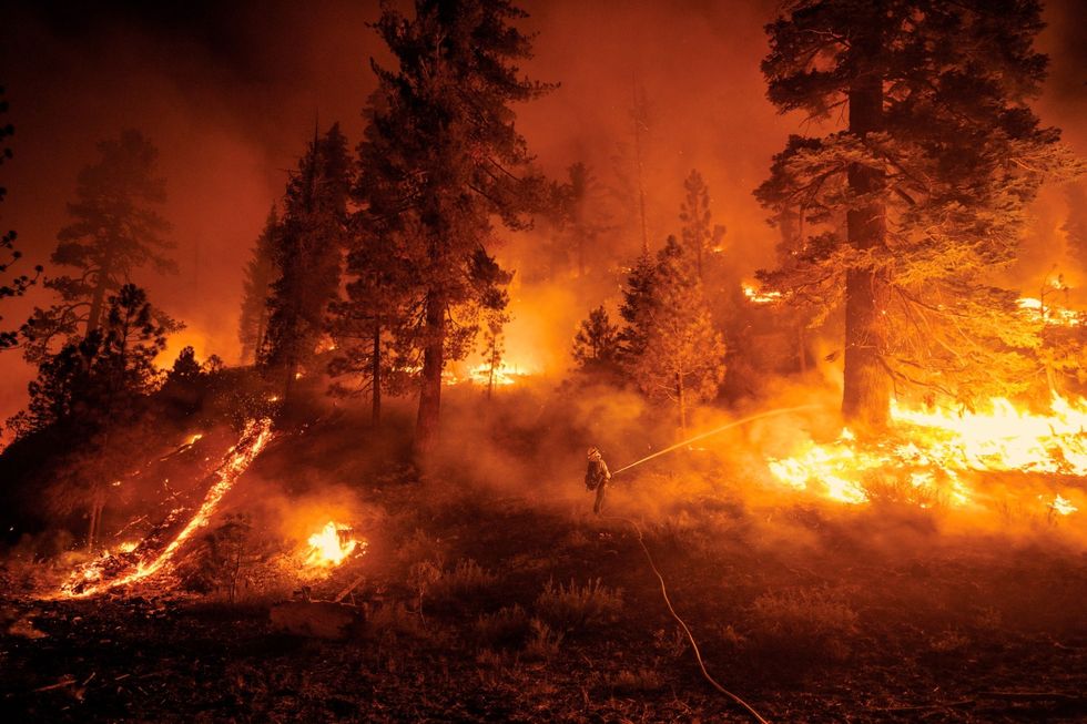 Brandweerlieden hebben in 2021 maandenlang gevochten om de Dixiebrand in Californi te bedwingen die bijna een miljoen hectare verwoestte en het grootste deel van Greenville een stad met ongeveer duizend inwoners verwoestte Het aantal en de omvang van bosbranden in het westen van NoordAmerika is de afgelopen jaren toegenomen deels als gevolg van klimaatverandering die hete droge omstandigheden intensiveert die water uit levende en dode planten zuigen waardoor ze meer kans hebben om te verbranden Een deel van de oplossing zijn wetenschappers het erover eens is een meer wijdverbreid gebruik van goed vuur gecontroleerde lage intensiteit brandwonden die bladafval en borstel van de bosbodem verwijderen waardoor de brandstof voor bosbranden wordt verminderd