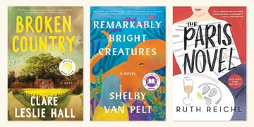 broken country by clare leslie hall, remarkably bright creatures by shelby van pelt, and the paris novel by ruth reichl