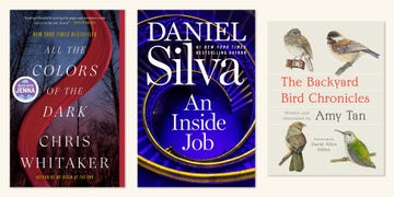 books, california bestsellers, all the colors of the dark by chris whitaker, an inside job by daniel silva, the backyard bird chronicles by amy tan