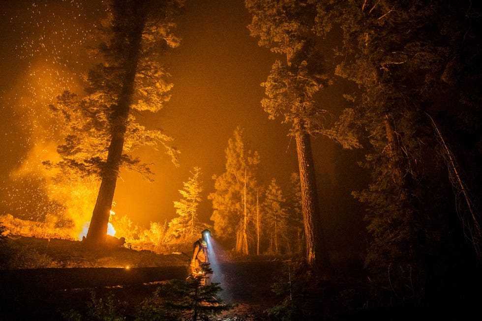 https://www.nationalgeographic.com/content/dam/archaeologyandhistory/2020/12/history-eoy-gallery/USE/california-fire-palley-mm9468_200905_005003.jpg Californi werd in 2020 getroffen door het zwaarste bosbrandseizoen in zijn geschiedenis Op de foto is te zien hoe een brandweerman door het Sierra National Forest loopt dat op dat moment nog door het Creek Fire werd geteisterd Het vuur brak begin september uit ontwikkelde zich tot de grootste afzonderlijke natuurbrand in de geschiedenis van de staat en heeft ruim 150000 hectare natuurgebied in de as gelegd Brandweerlieden hopen de brand tegen het einde van het jaar onder controle te krijgenUitBekijk de recordbranden in Californi door de ogen van brandweerlieden in de frontlinie