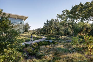 california native landscape plants