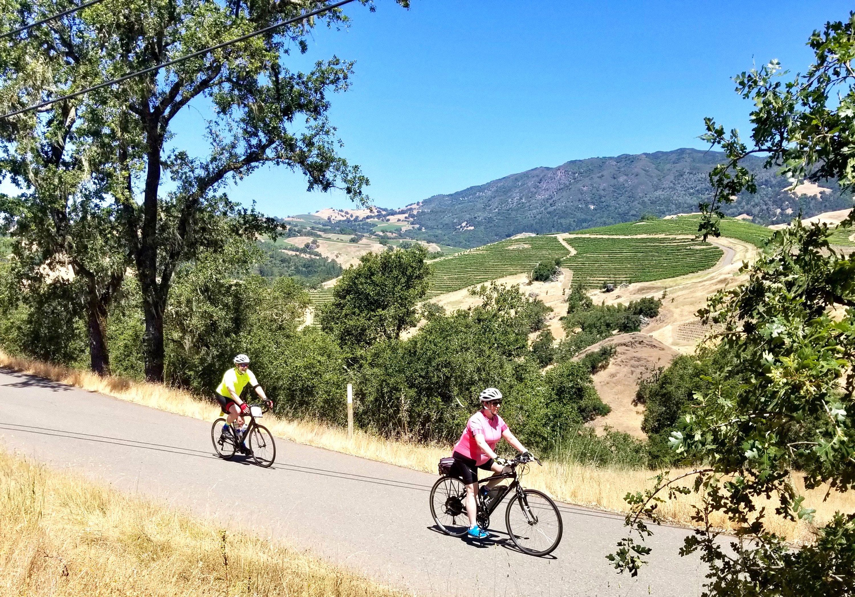 Wine Country Trails - Mountain Biking in Santa Rosa, California -  Singletracks Mountain Bike News