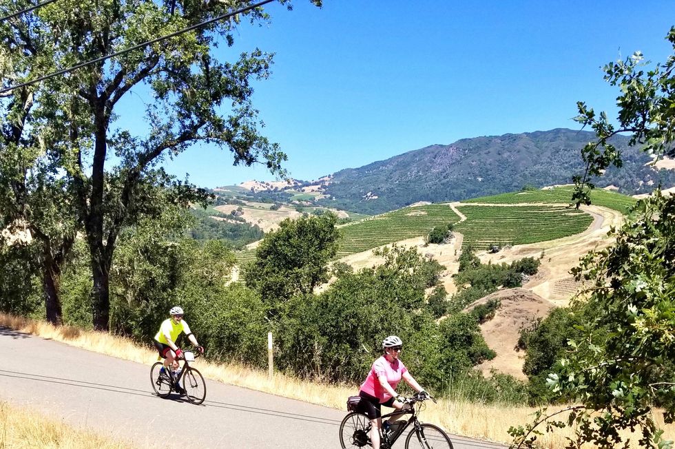 two people riding bikes on a road with a view of vineyards