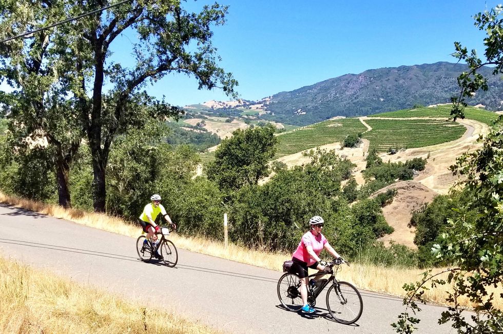 two people riding bikes on a road with a view of vineyards
