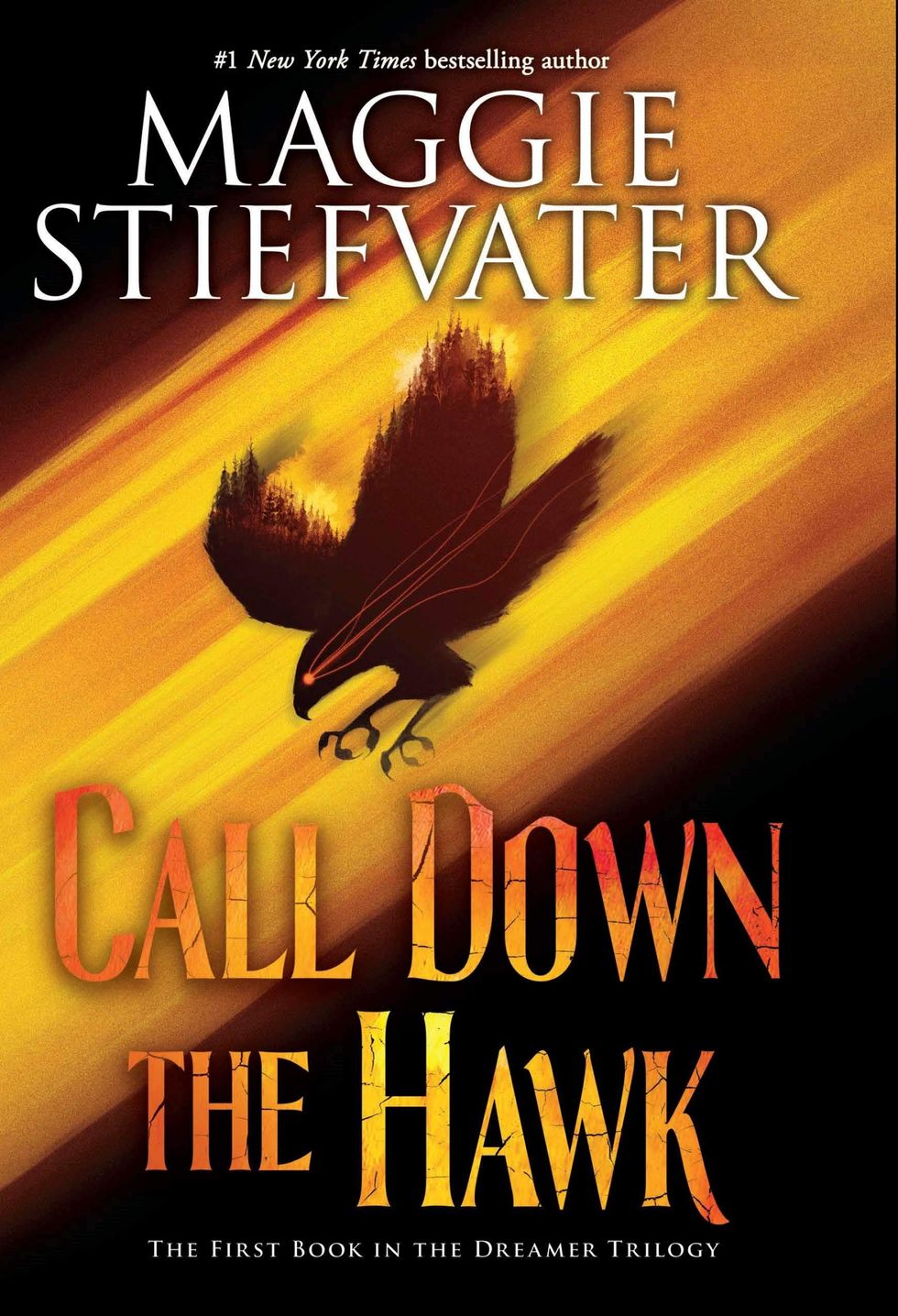 "Call Down the Hawk" by Maggie Stiefvater - Best YA Books of 2019