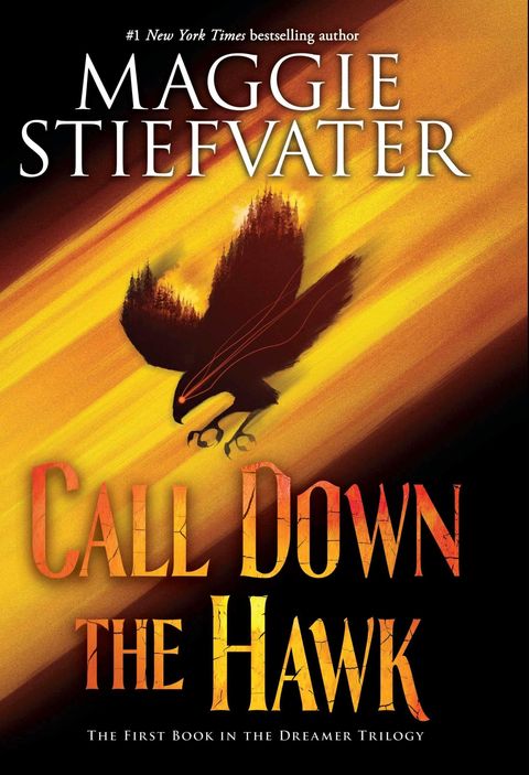 "Call Down the Hawk" by Maggie Stiefvater - Best YA Books of 2019