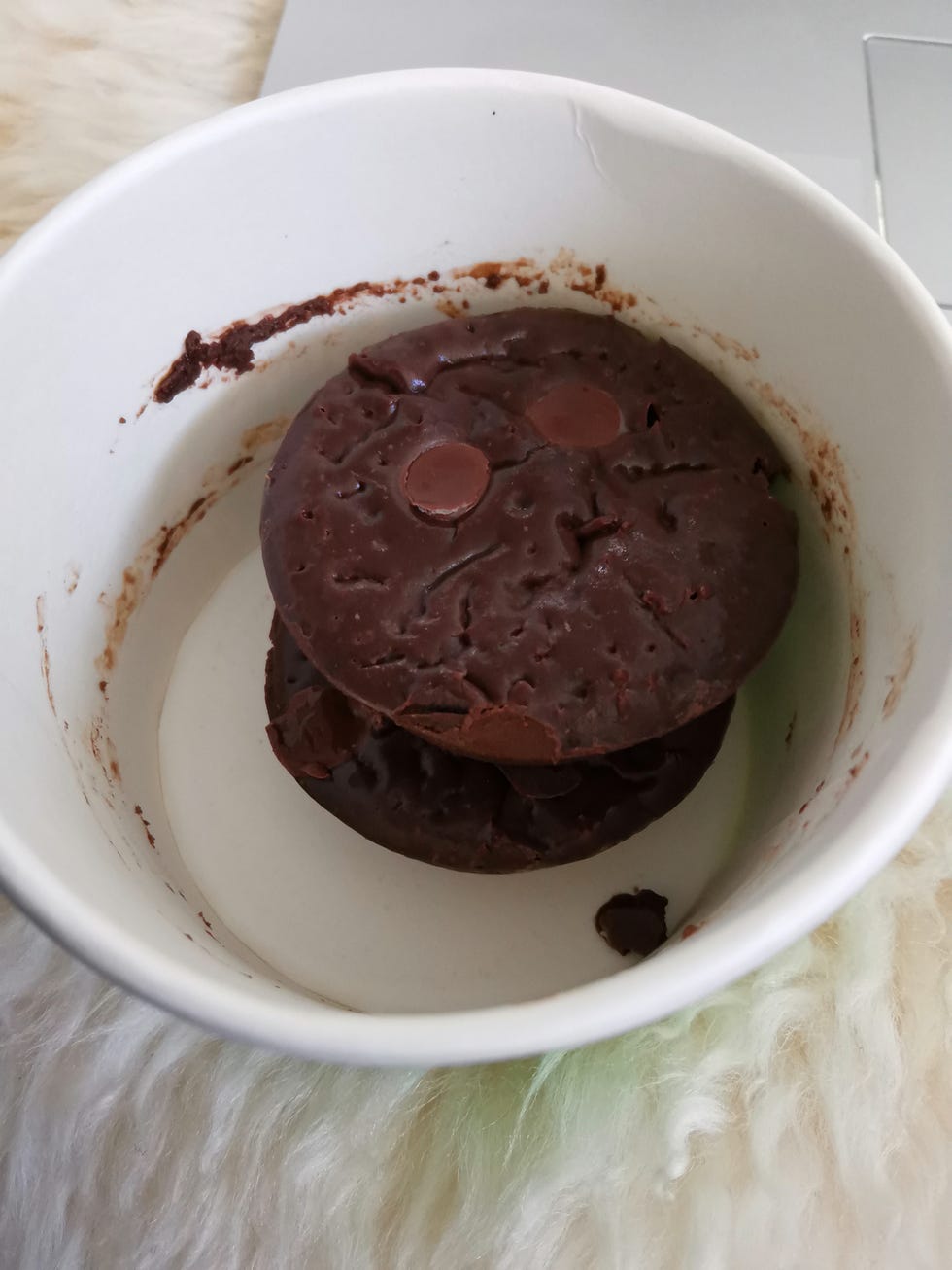 calo protein brownies