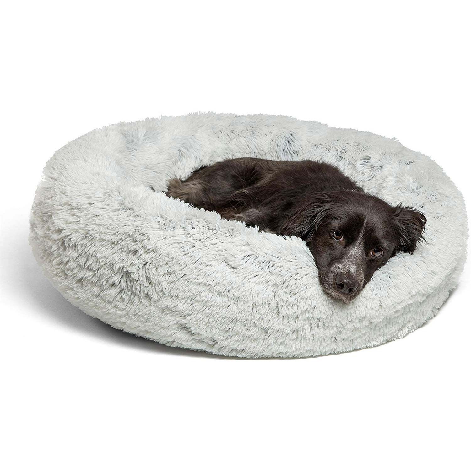 Mascotas: así es la cama antiestrés que tu perro necesita