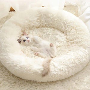 cama de gato de lana