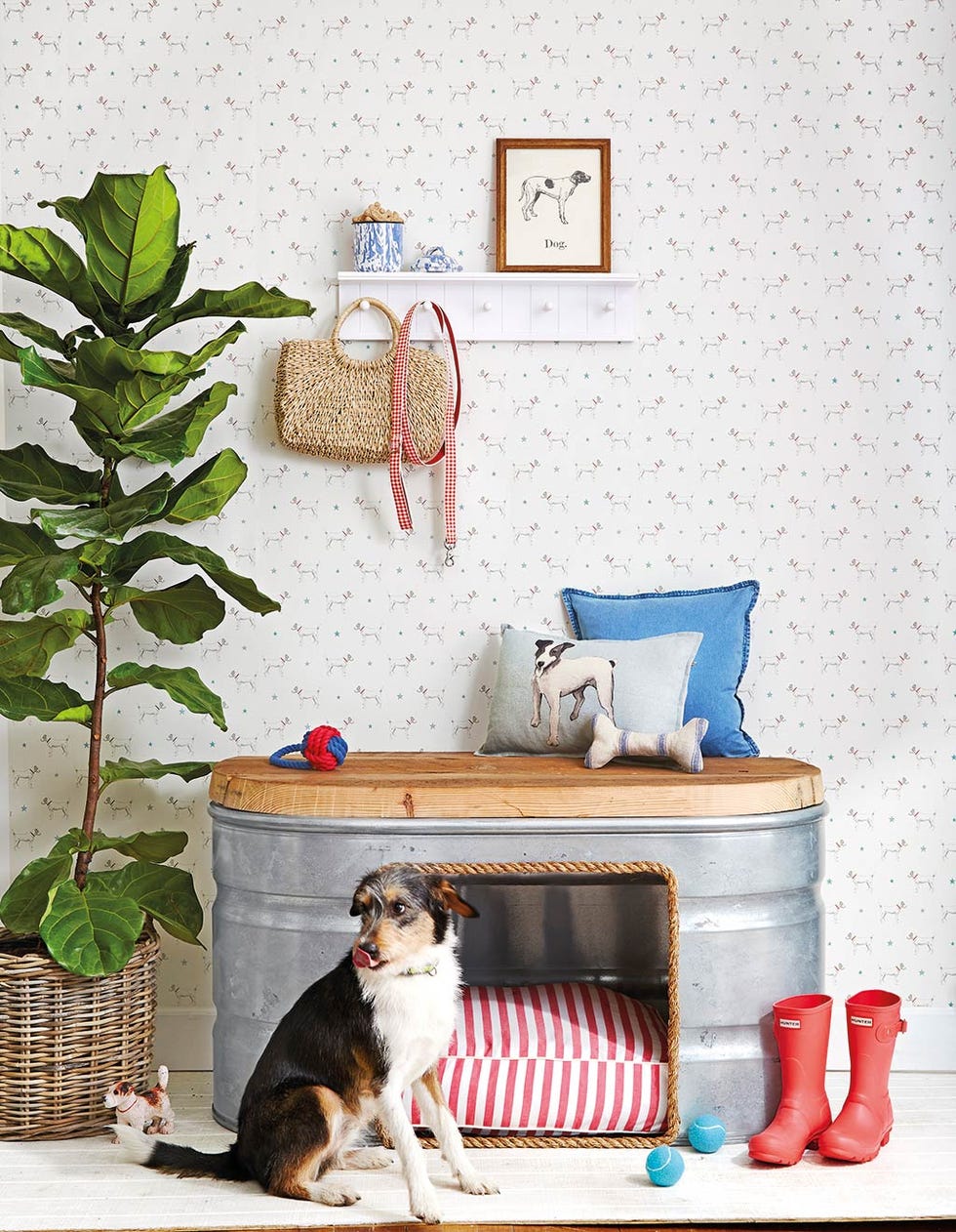 Casita para perro