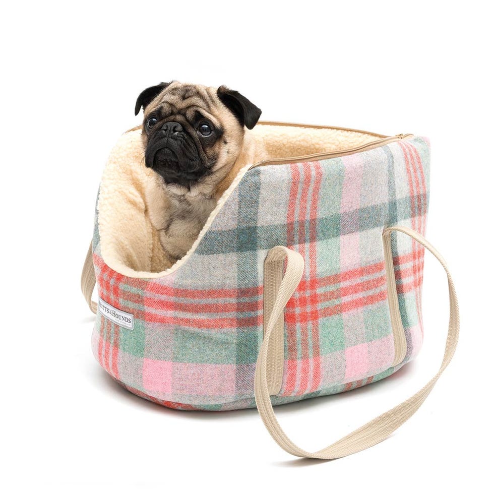 Bolsa de transporte para perros