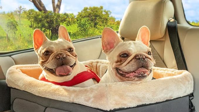Las mejores camas y sillas de perro para viajar en coche